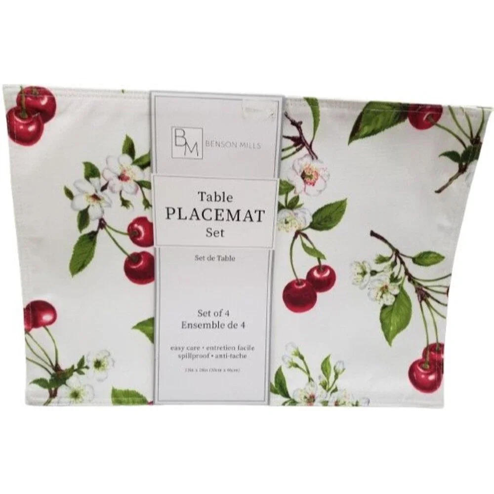 Set of 4 Same Reversible Fabric Placemats (13